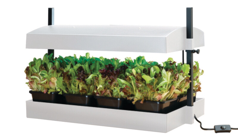 Home Grow System