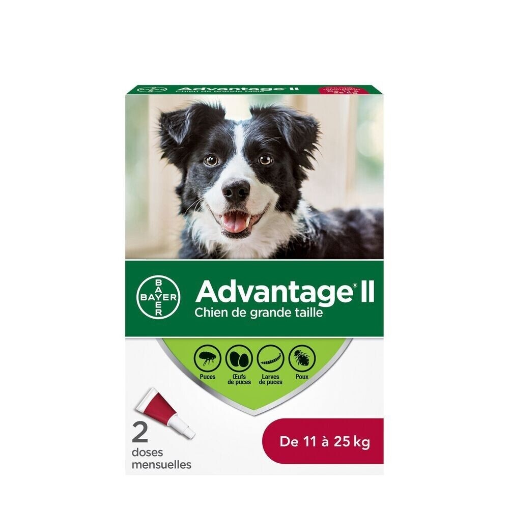 Advantage® II Large Dog Once-A-Month Topical Flea Treatment - 11 to 25 kg