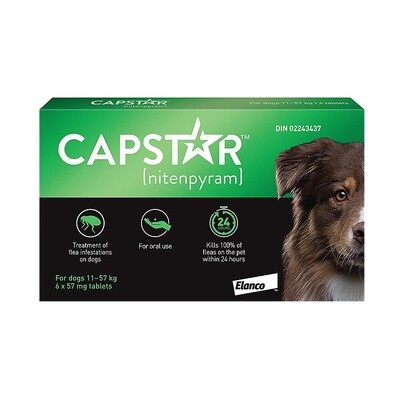 Capstar™ Large Dog Flea Treatment - 6 Count