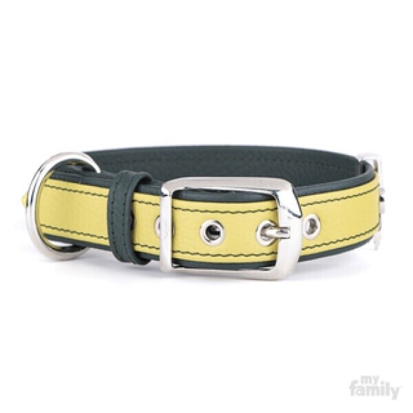 Firenze - lime and green leather collar