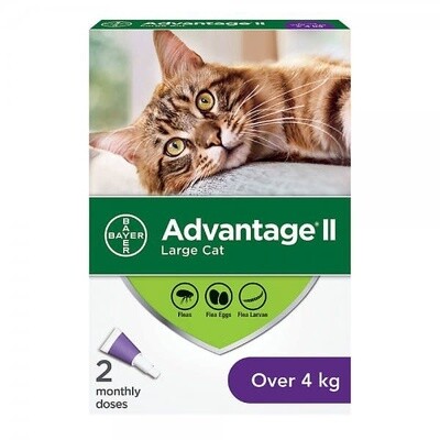 Advantage® II Large Cat Once-A-Month Topical Flea Treatment - Over 4 kg