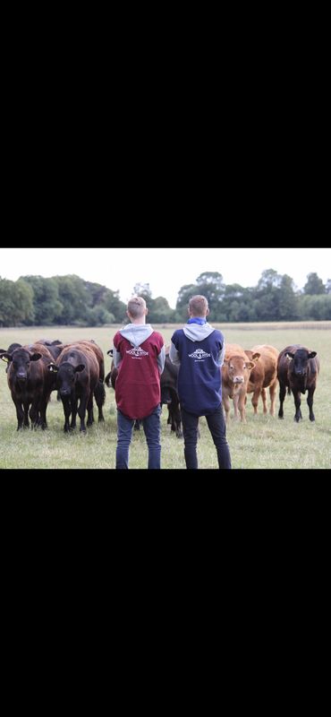 Stannage Shearing Range