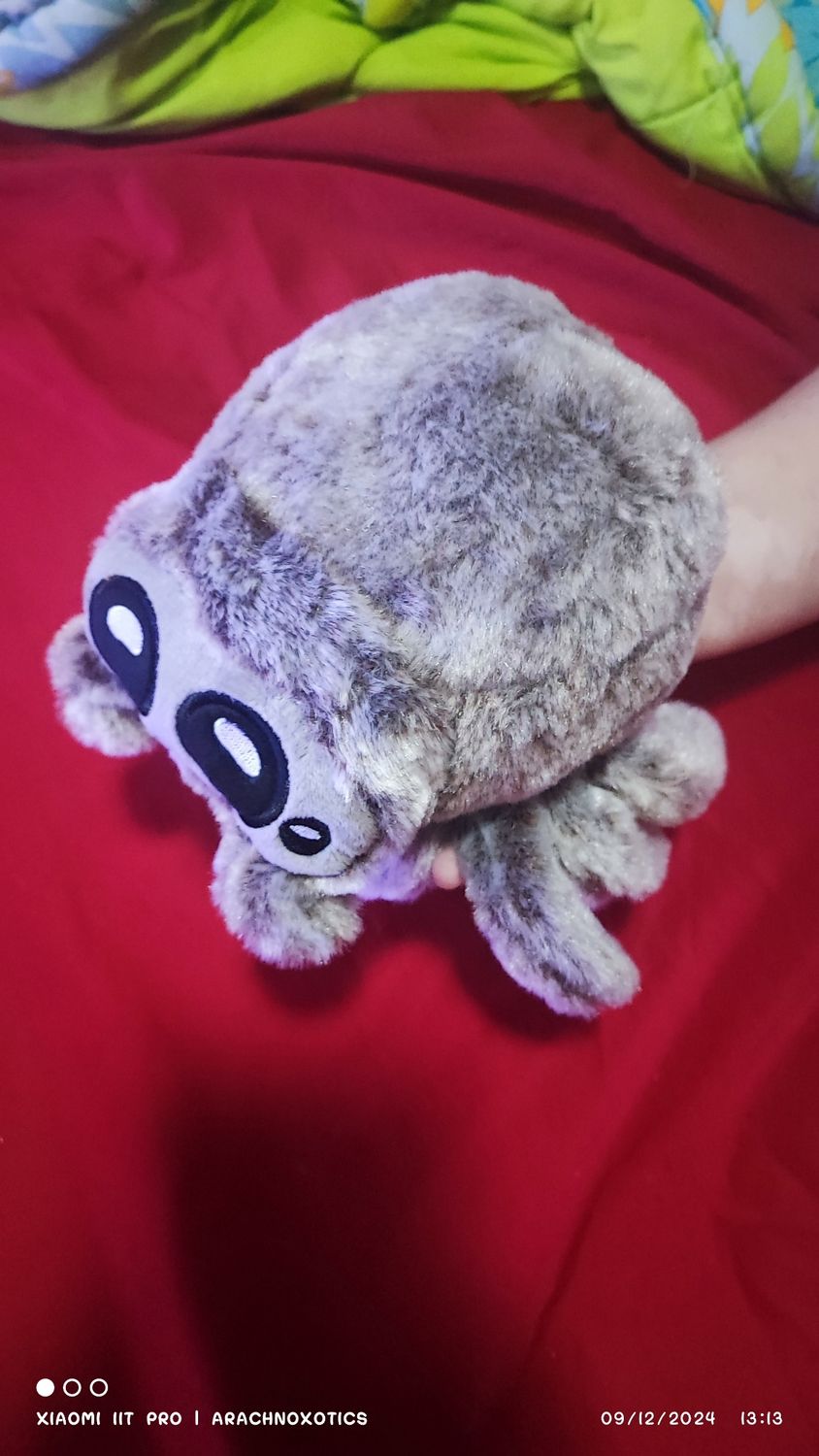 Soft Plushie Jumping Spider