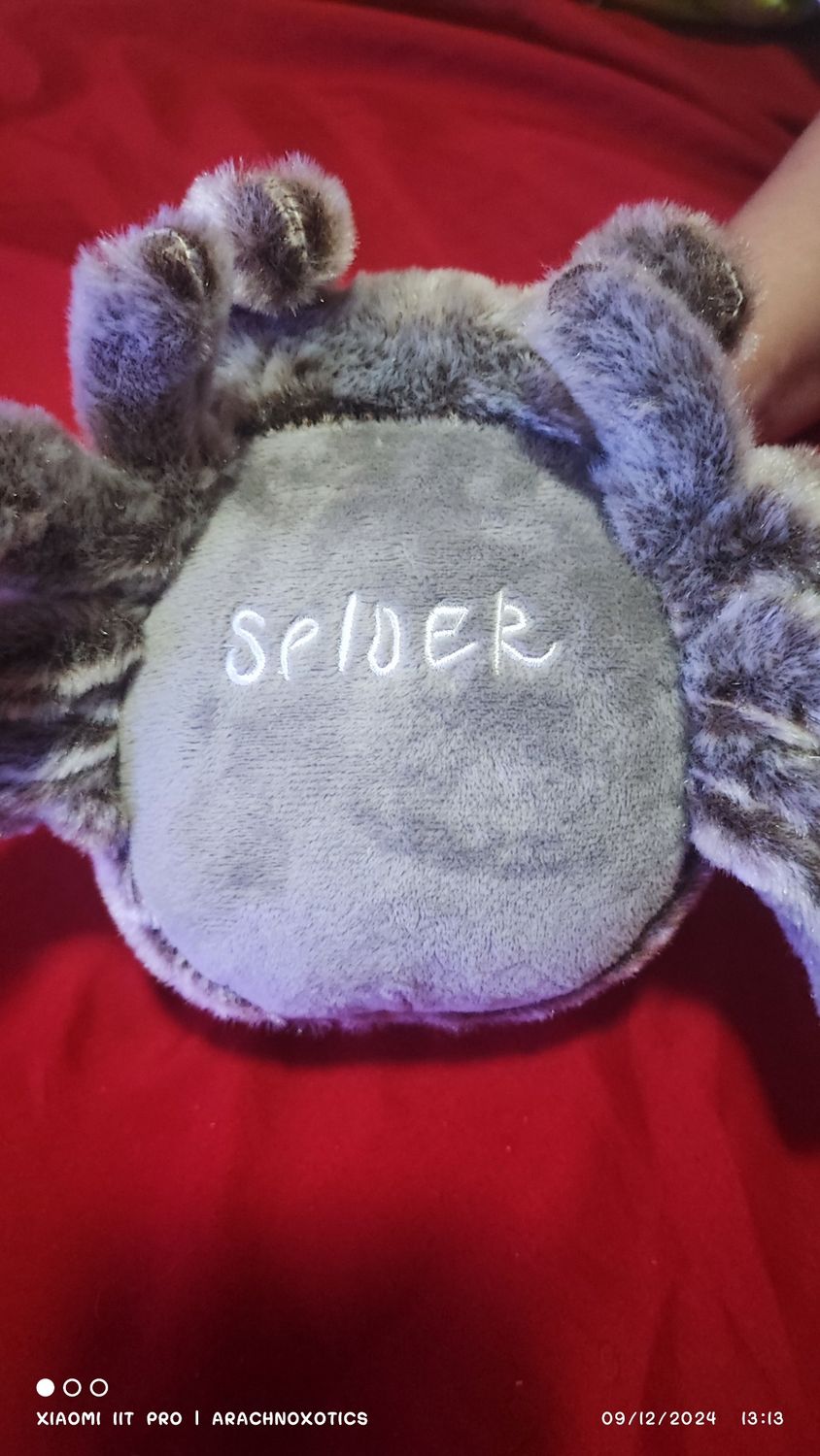 Soft Plushie Jumping Spider