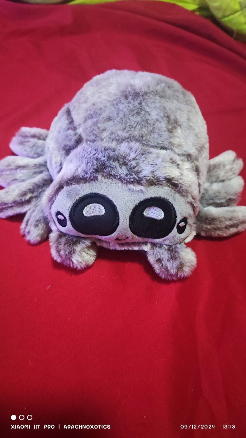 Soft Plushie Jumping Spider