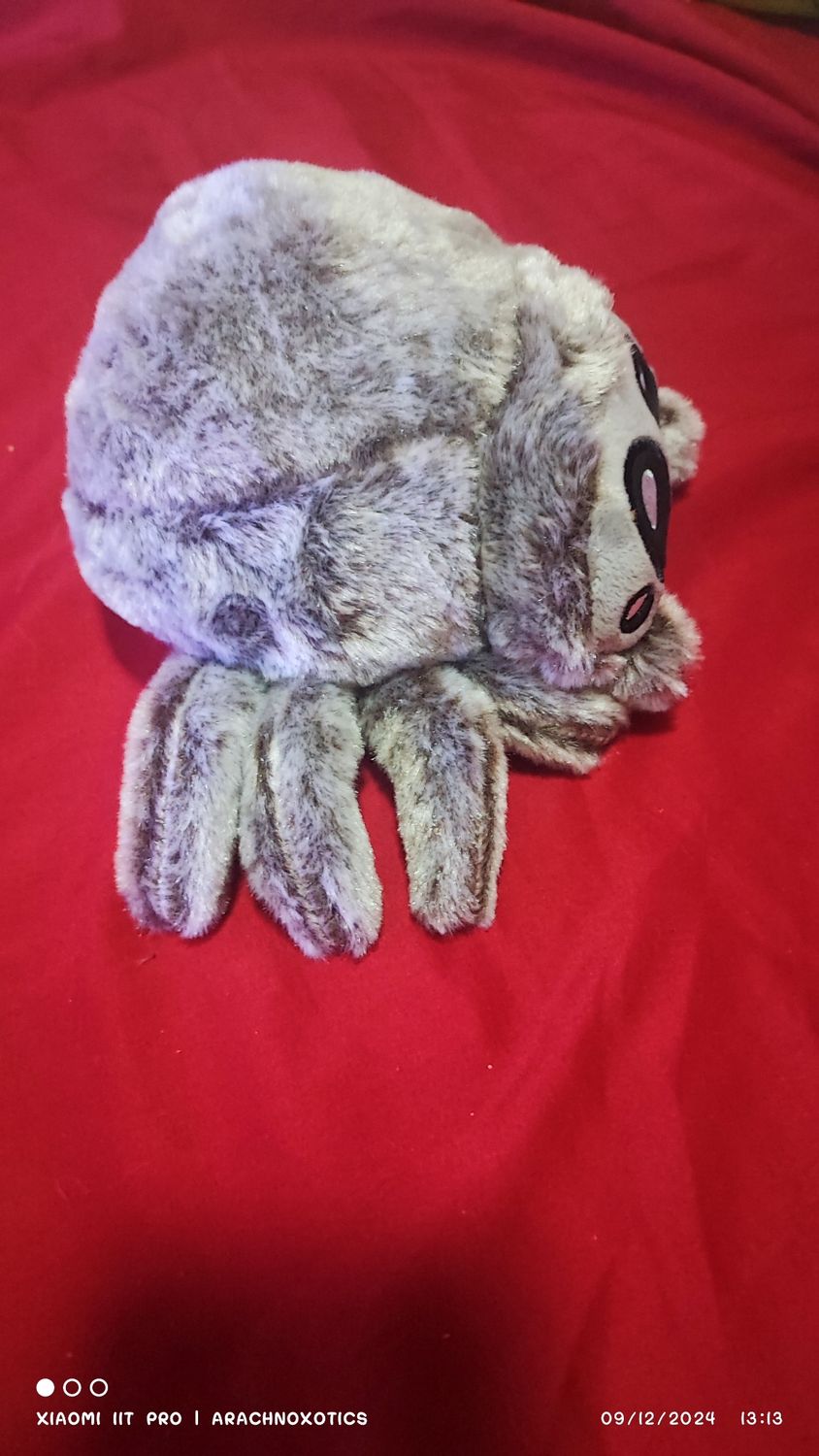 Soft Plushie Jumping Spider