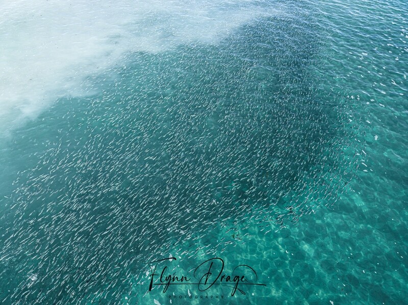 LUCKY BAY 52