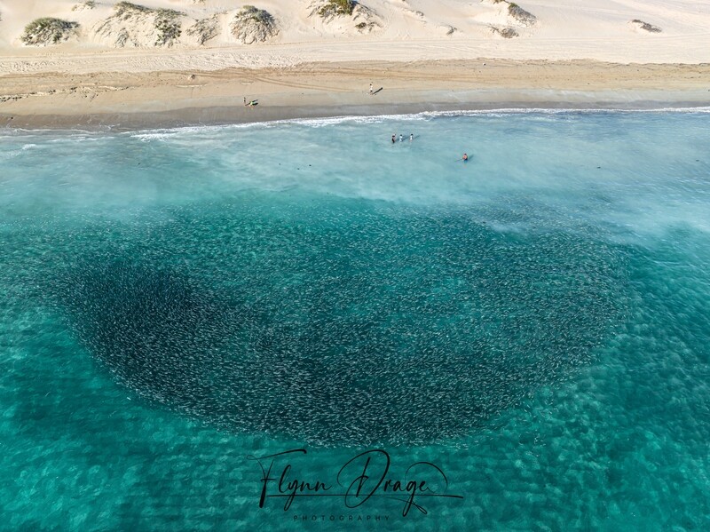 LUCKY BAY 47