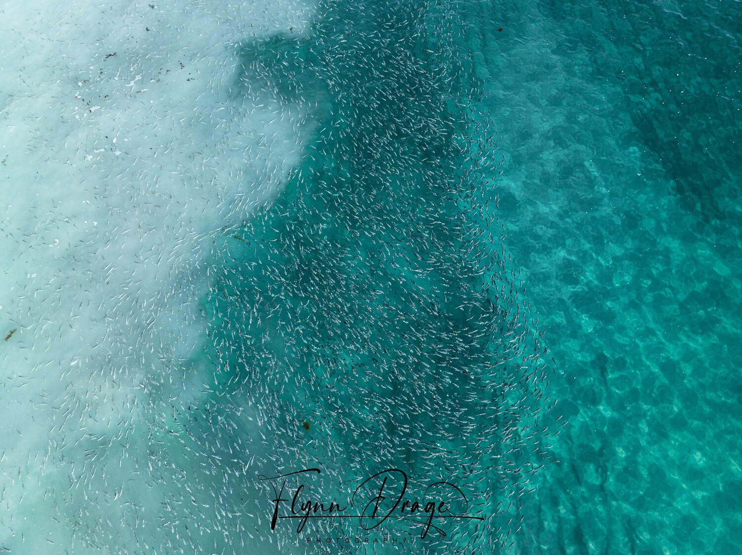LUCKY BAY 54
