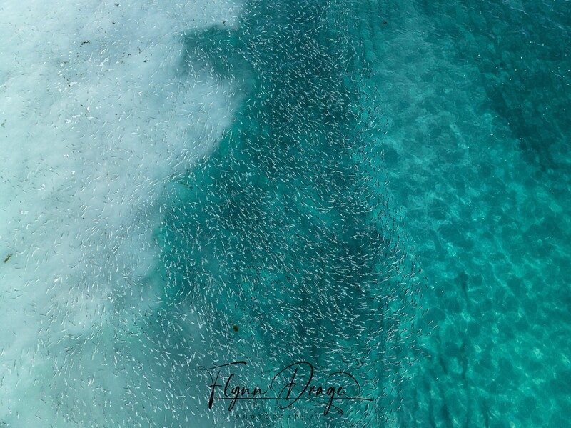 LUCKY BAY 54