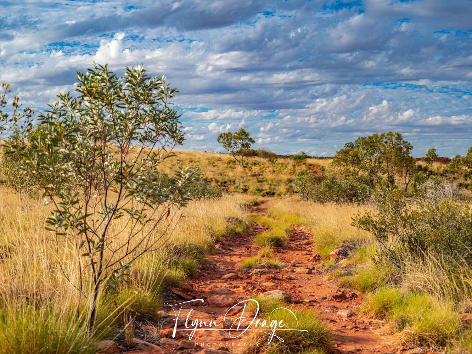 DESERT QUEEN BATHS 20