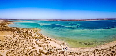 Shark Bay Region