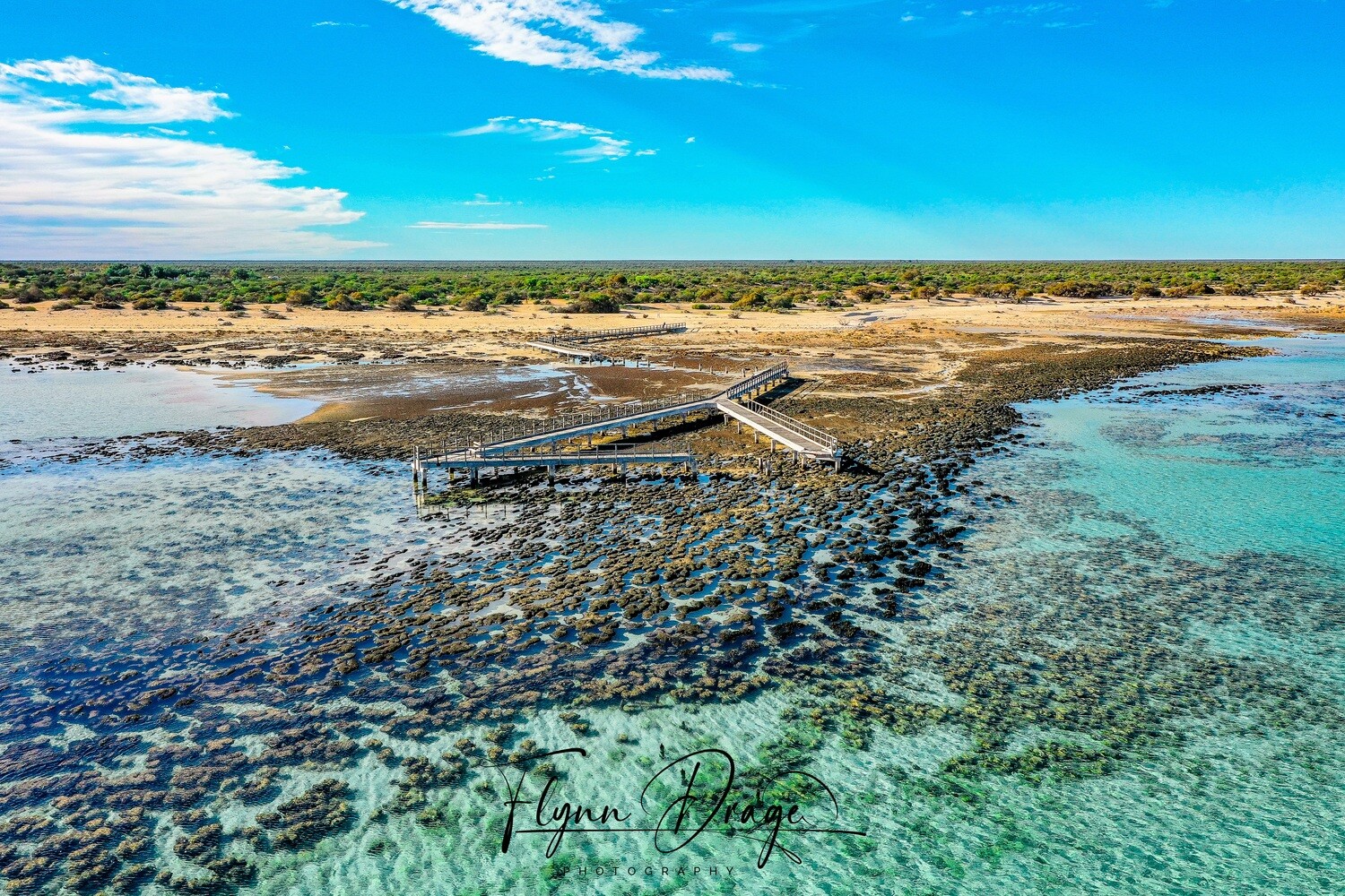 HAMELIN POOL 11