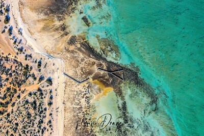 Hamelin Pool