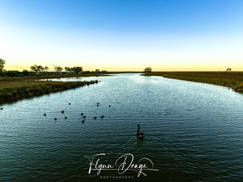 WOOLEEN 8
