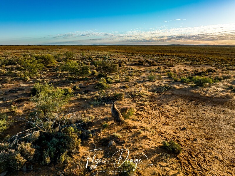 WOOLEEN 3
