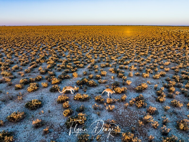 WOOLEEN 19