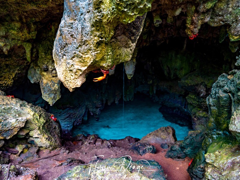 GROTTO 1