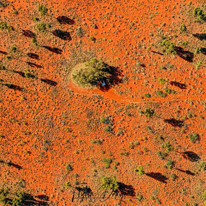 CSR WELL 20 BIRDSEYE