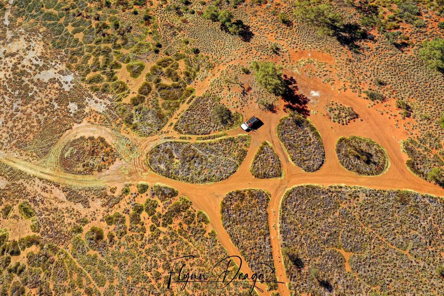 CSR WELL 30 BIRDSEYE