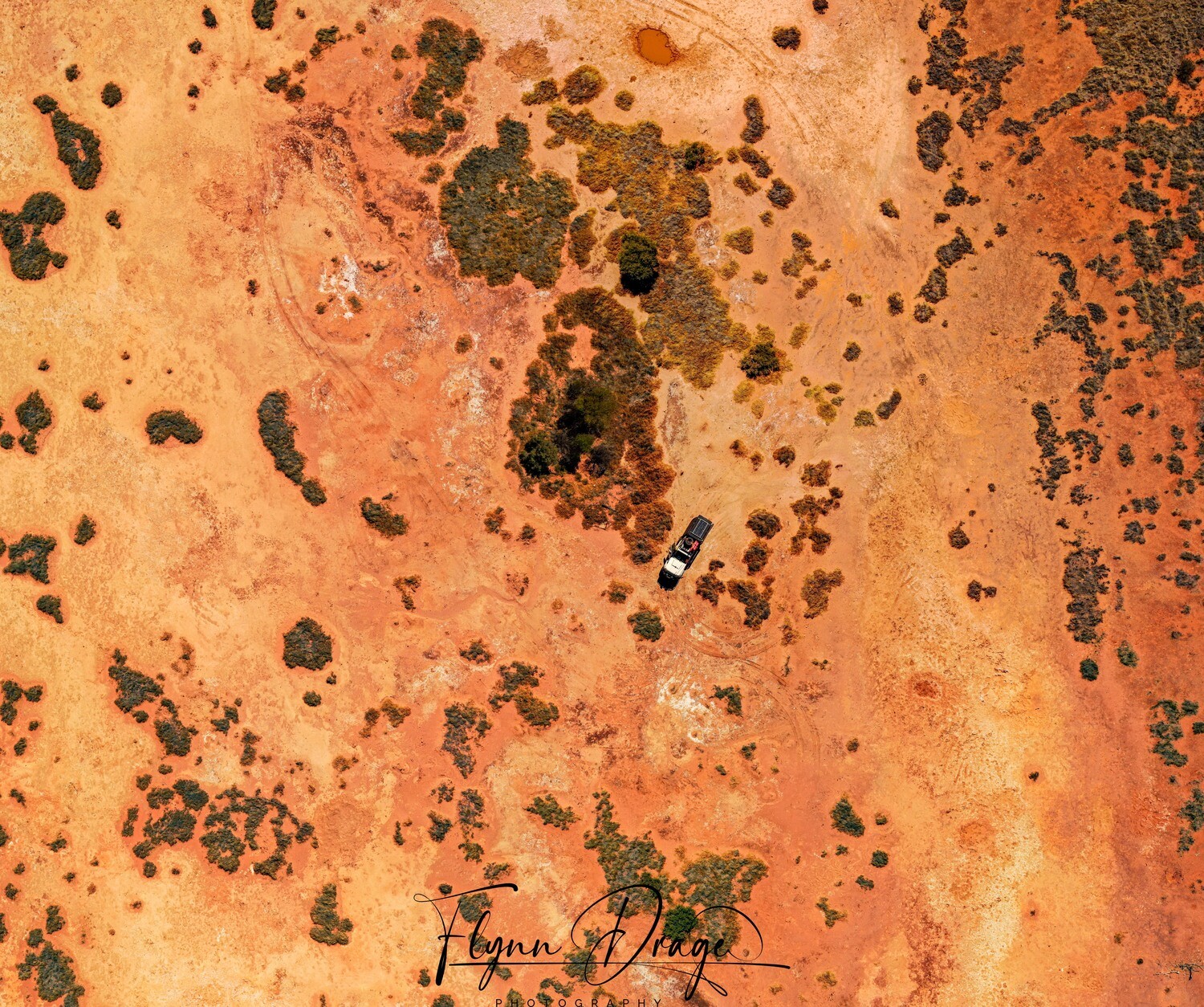 CSR WELL 31A BIRDSEYE