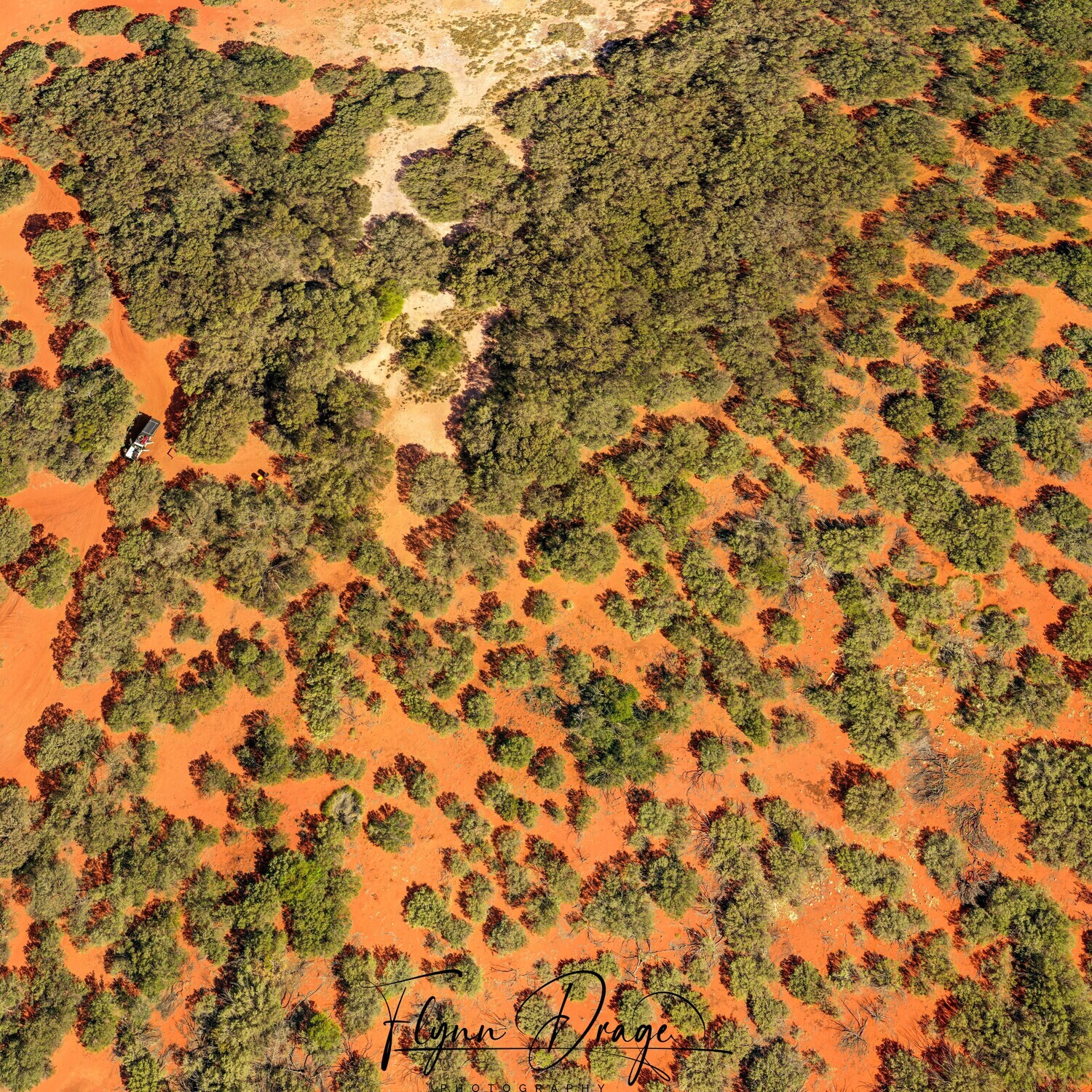 CSR WELL 35 BIRDSEYE