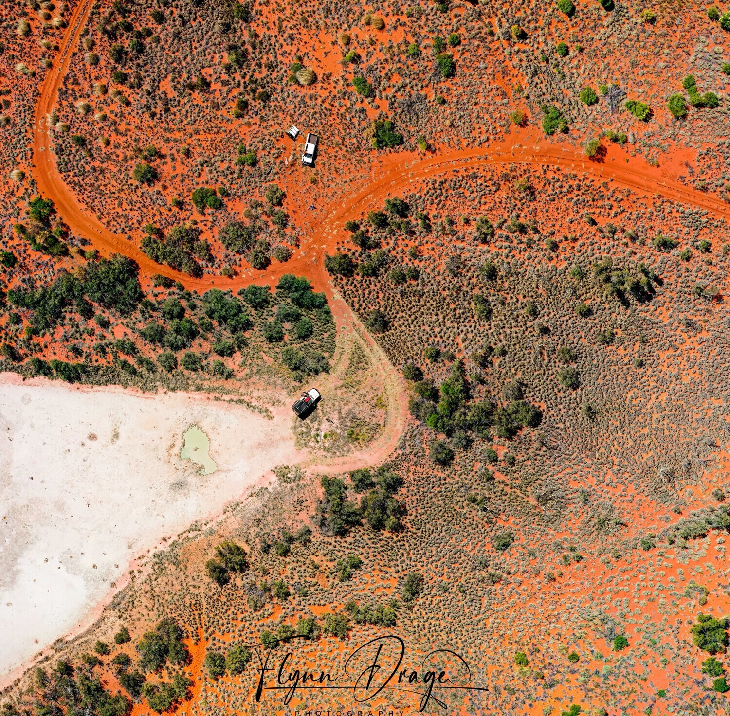 CSR WELL 40 BIRDSEYE