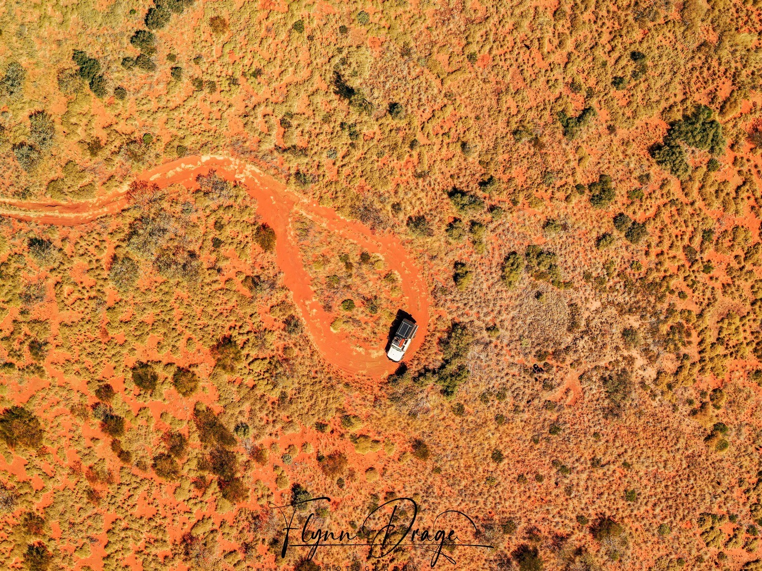 CSR WELL 48 BIRDSEYE