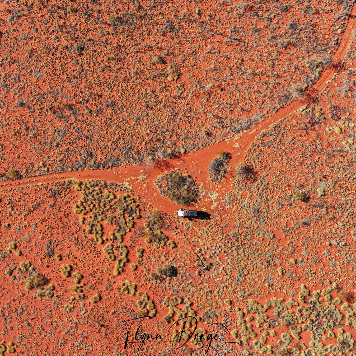 CSR WELL 44 BIRDSEYE