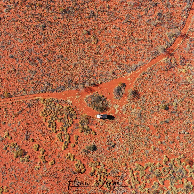 CSR WELL 44 BIRDSEYE