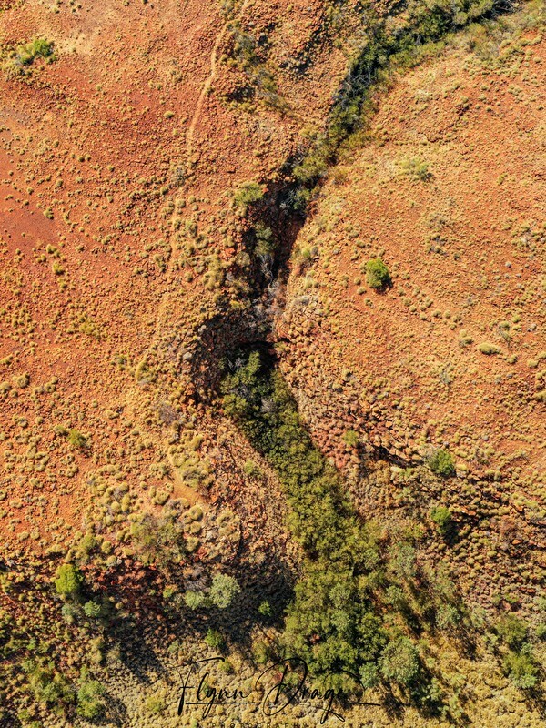 CSR BREADEN POOL BIRDSEYE