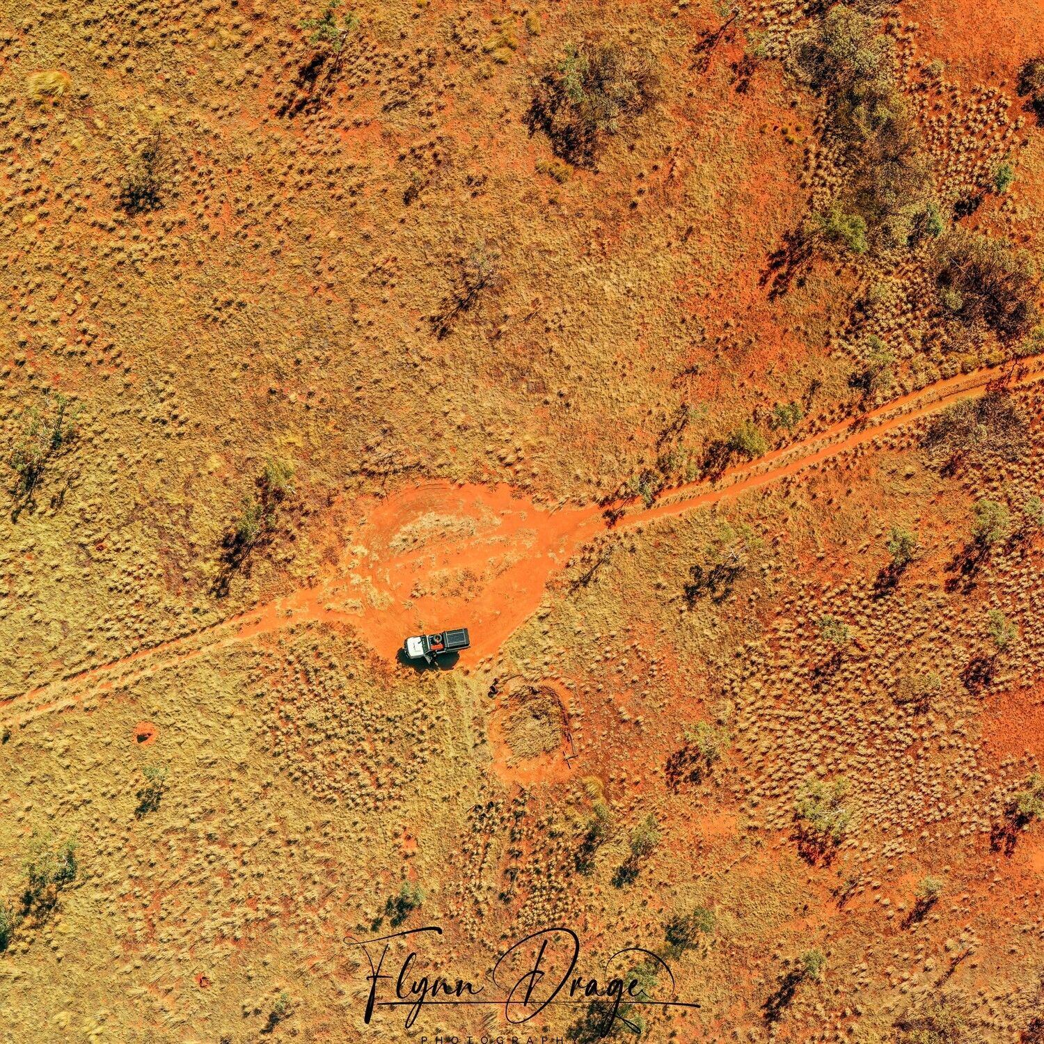 CSR WELL 50 BIRDSEYE