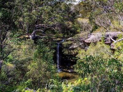 New South Wales