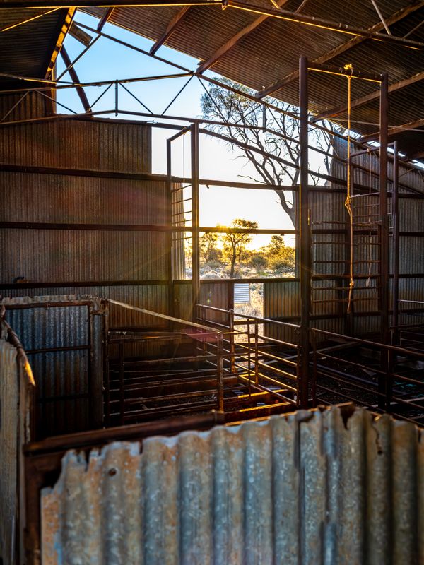 DOOLGUNNA WOOLSHED 3