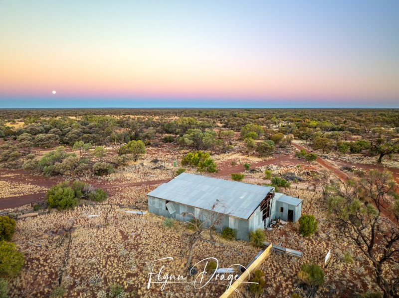 DOOLGUNNA WOOLSHED 4