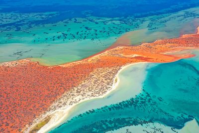 Shark Bay Region