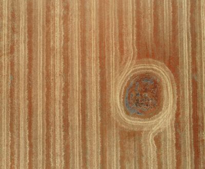 Everything In-between