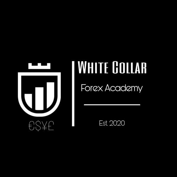 White Collar Forex Academy