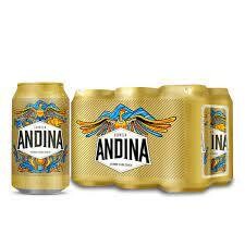 SIX PACK ANDINA LATA 330