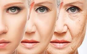 ME Anti-Aging Skin Care (Collagen)
