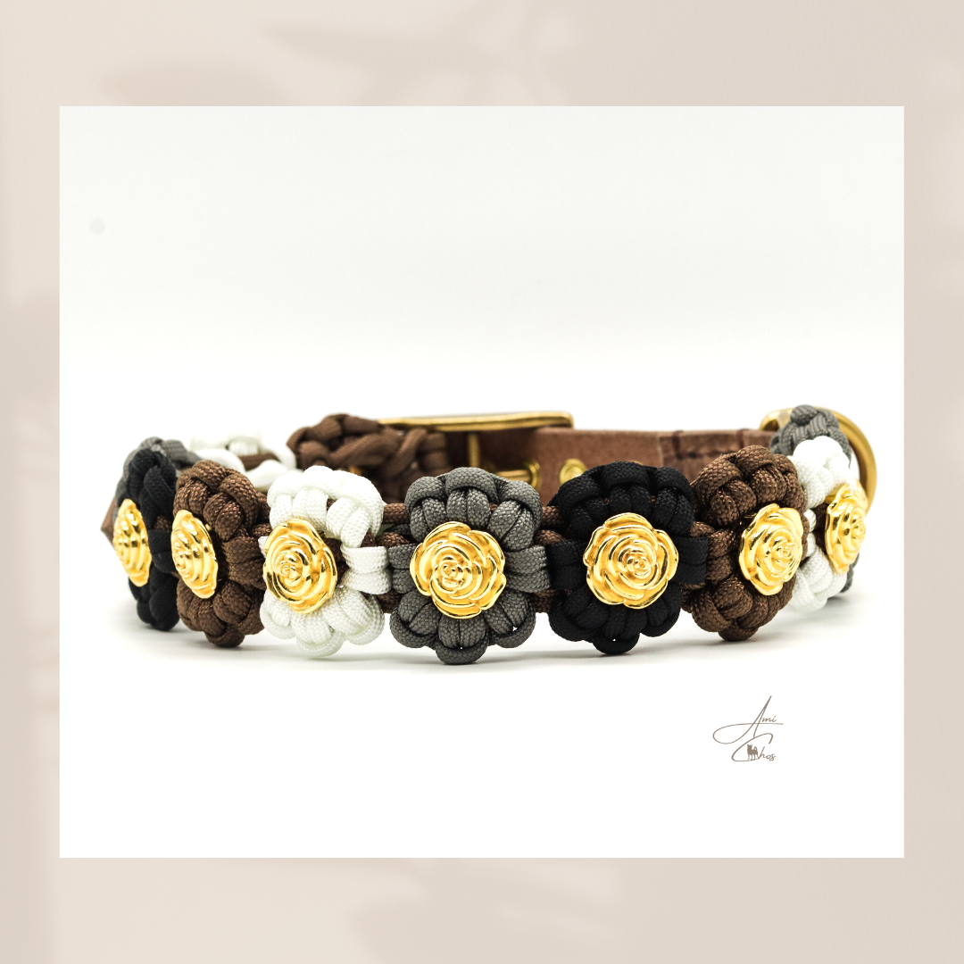 Paracord Mix Leine für mittlere bis große Hunde, Wähle die Paracordflechtung: halbrund (bis zu 3 Farben )