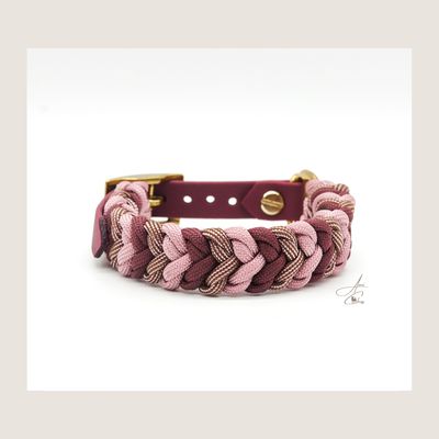 Snake Belly Snake Belly