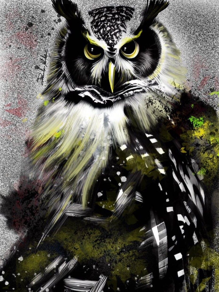 Daniele Marchesani - THE OWL