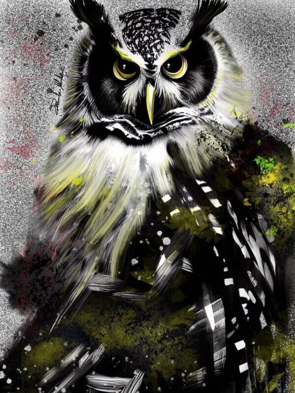 Daniele Marchesani - THE OWL