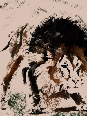 Daniele Marchesani - PREDATORY