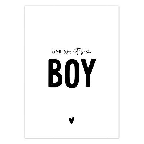 Wow, it's a boy!