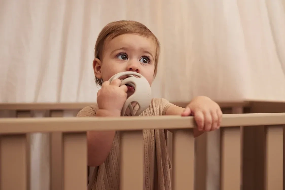 Bijtring Bal, Nougat