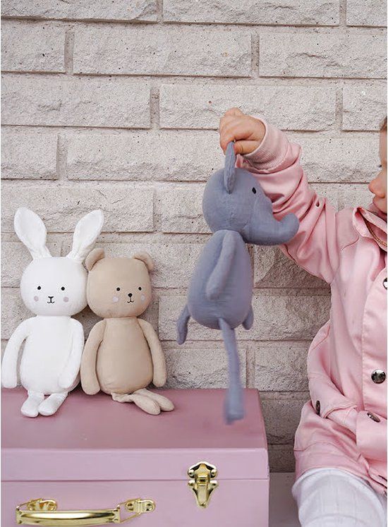 Gift box Buddy Teddy