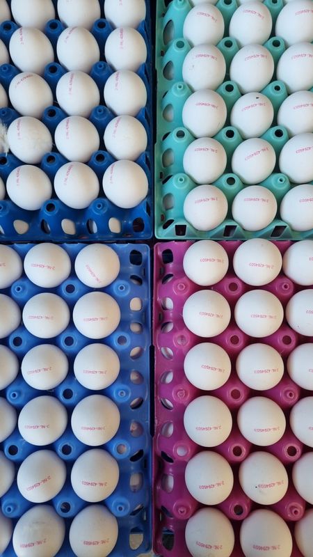Witte scharrel eieren 30st. 