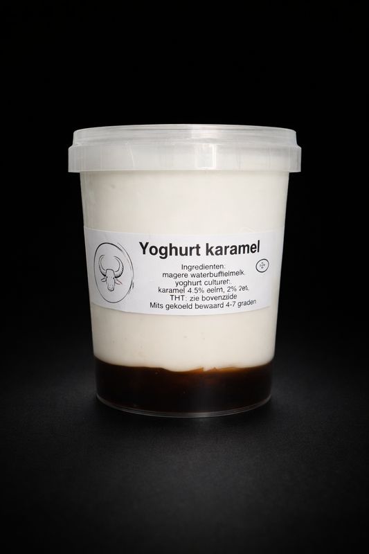 Yoghurt karamel